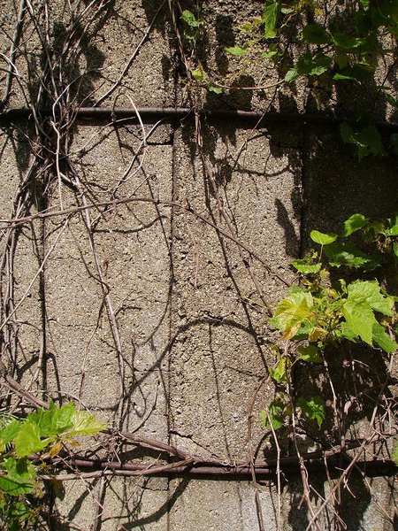 DIGITAL CAMERA